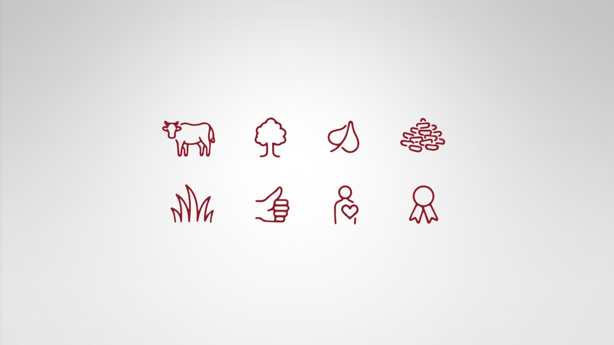 Logo a vizuální styl Farmy Těchonice